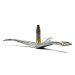 Хрестовина барабана Bosch Siemens 684101, COD 745