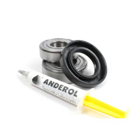 Комплект подшипников для стиральных машин Indesit SKF 6204, SKF 6205 и сальник 30*52*10